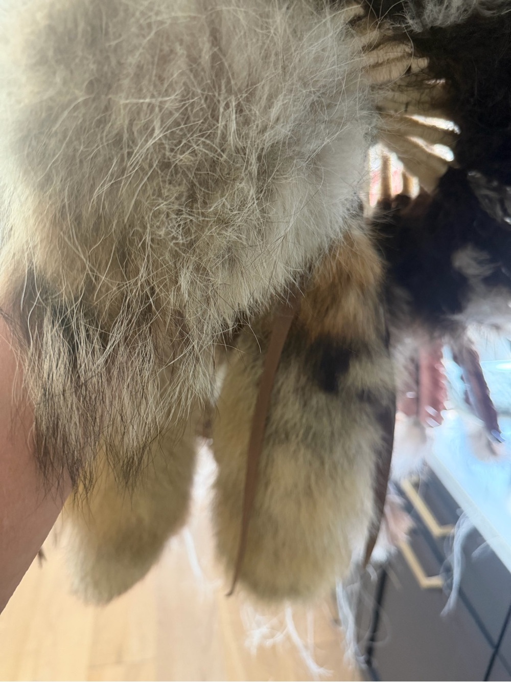 Navajo Coyote Eagle Feather Halo Headress - Picture 14 of 16